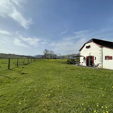 Parote Txipia * Musculdy