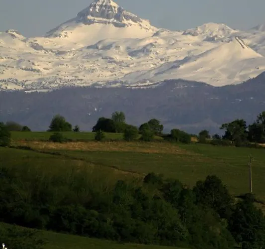 Parote Txipia * Musculdy