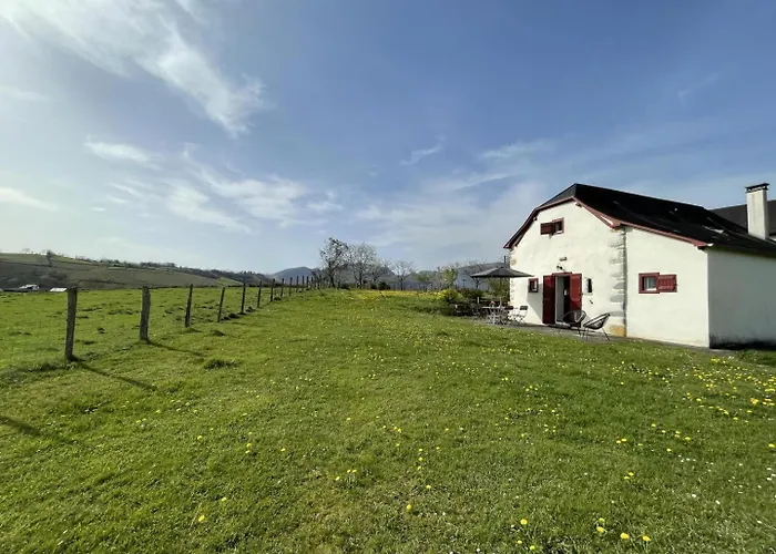 Parote Txipia * Musculdy